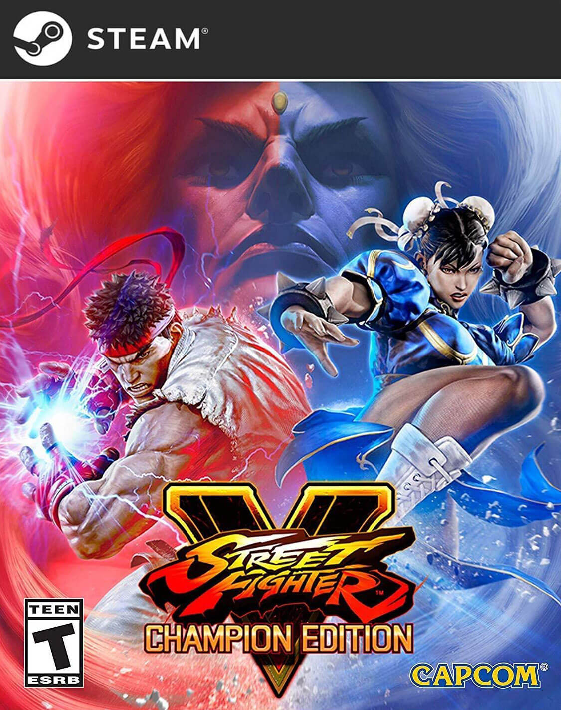 Street Fighter 5 Champion